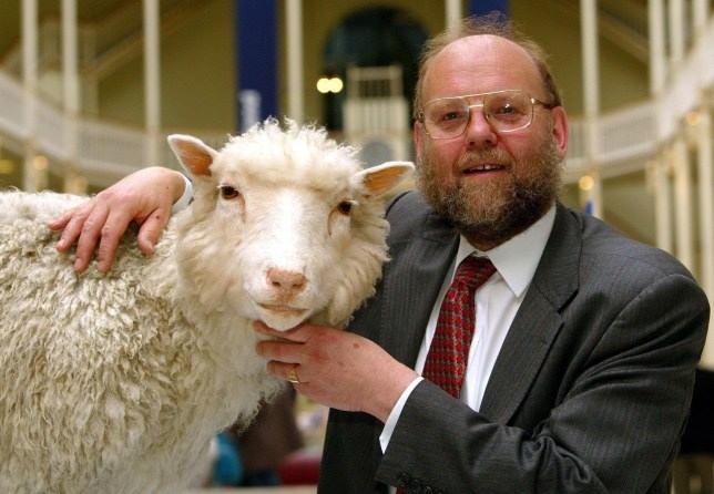 پروفسور سر ایان ویلموت کنار گوسفند دالی